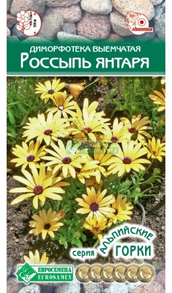 Семена Диморфотека выемчатая Россыпь Янтаря, 0,1 г - фото