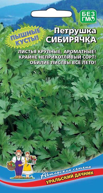 Семена Петрушка листовая Сибирячка, 2 г - фото