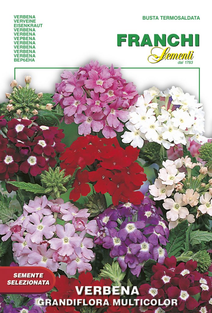 Семена Вербена крупноцветковая смесь сортов, 0,2 г - фото