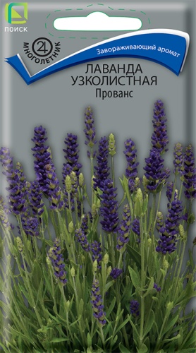 Семена Лаванда узколистная Прованс, 0,1 г Поиск - фото