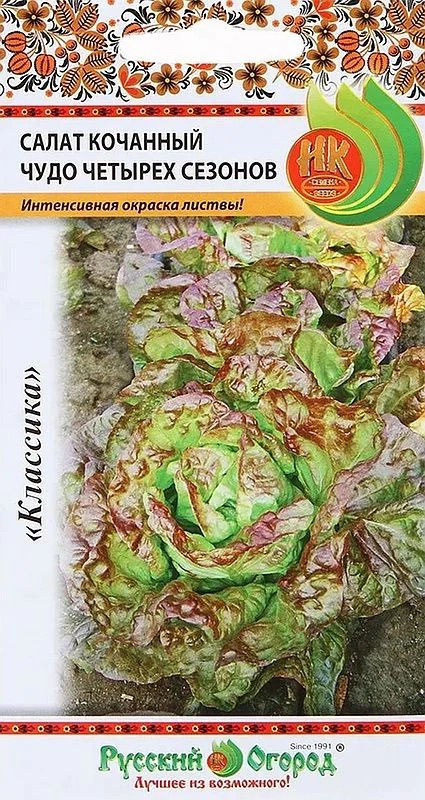 Семена Салат кочанный Чудо четырех сезонов, 1 г - фото