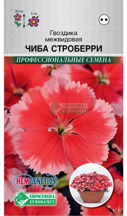 Семена Гвоздика межвидовая Чиба Строберри, 5 шт - фото