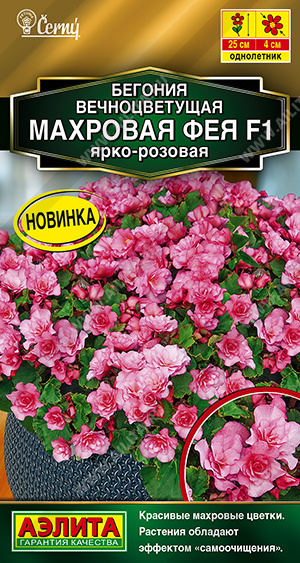 Семена Бегония вечноцветущая махровая Фея F1 ярко-розовая, 5 шт - фото