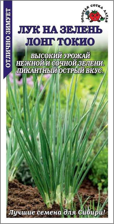 Семена Лук на зелень Лонг Токио, 0,3 г - фото