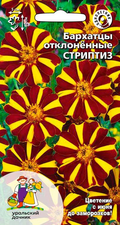 Семена Бархатцы отклоненные Стриптиз, 0,1 г - фото