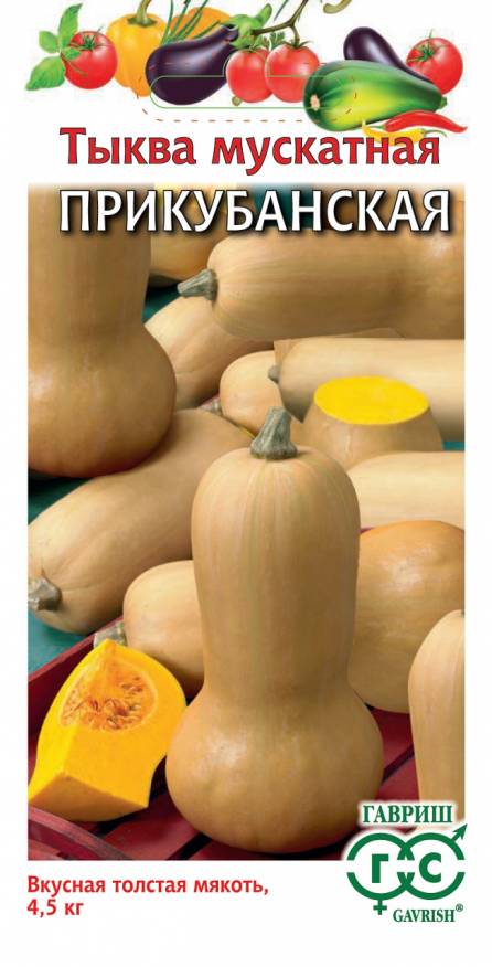 Семена Тыква мускатная Прикубанская, 1 г - фото