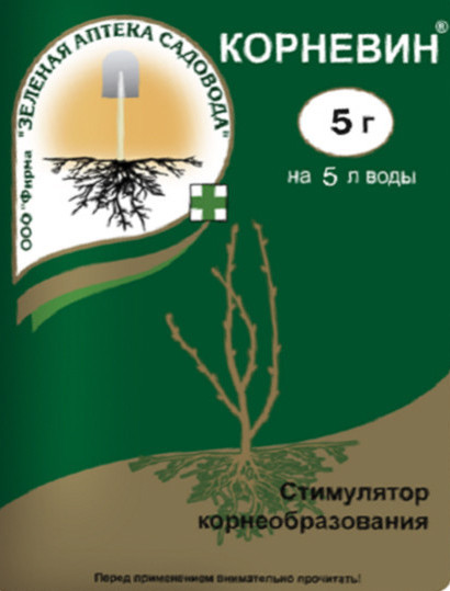 Корневин 