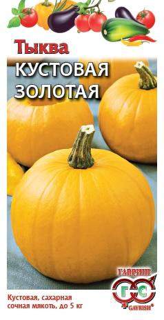 Семена Тыква Кустовая золотая, 1 г - фото
