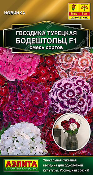 Семена Гвоздика турецкая Бодештольц F1 смесь сортов, 7 шт - фото