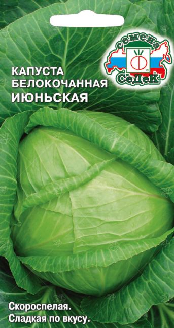 Семена Капуста Белокочанная Июньская, 0,5 г - фото