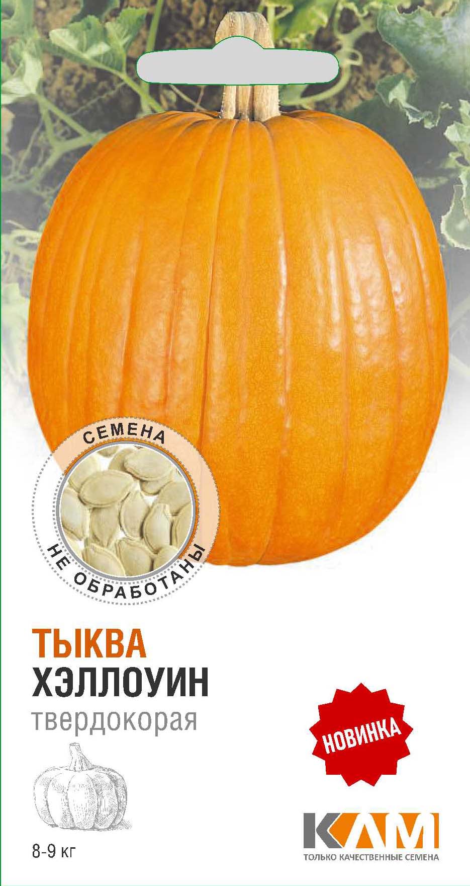 Семена Тыква Хэллоуин, 5 шт - фото