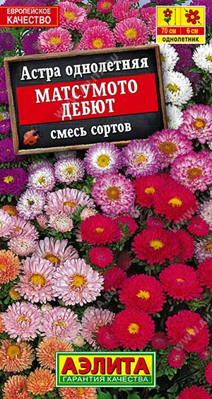 Семена Астра Матсумото Дебют смесь сортов, 0,2 г - фото