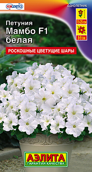 Семена Петуния Мамбо белая F1 многоцветковая, 7 шт - фото