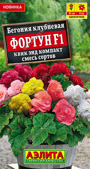 Семена Бегония клубневая Фортун F1 квик энд компакт смесь сортов, 5 шт - фото