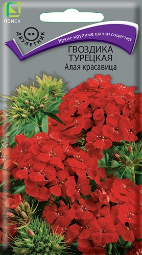 Семена Гвоздика турецкая Алая красавица, 0,5 г Поиск - фото