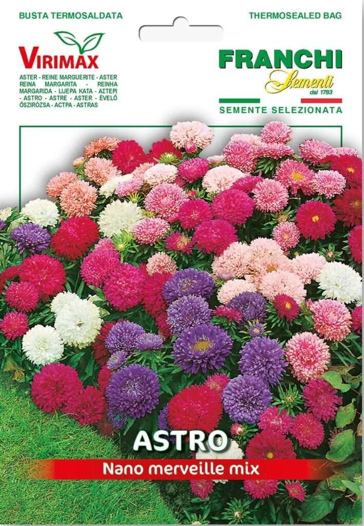Семена Астра Мервел низкорослая, 1 г - фото