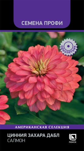 Семена Цинния Захара Дабл Салмон, 5 шт - фото