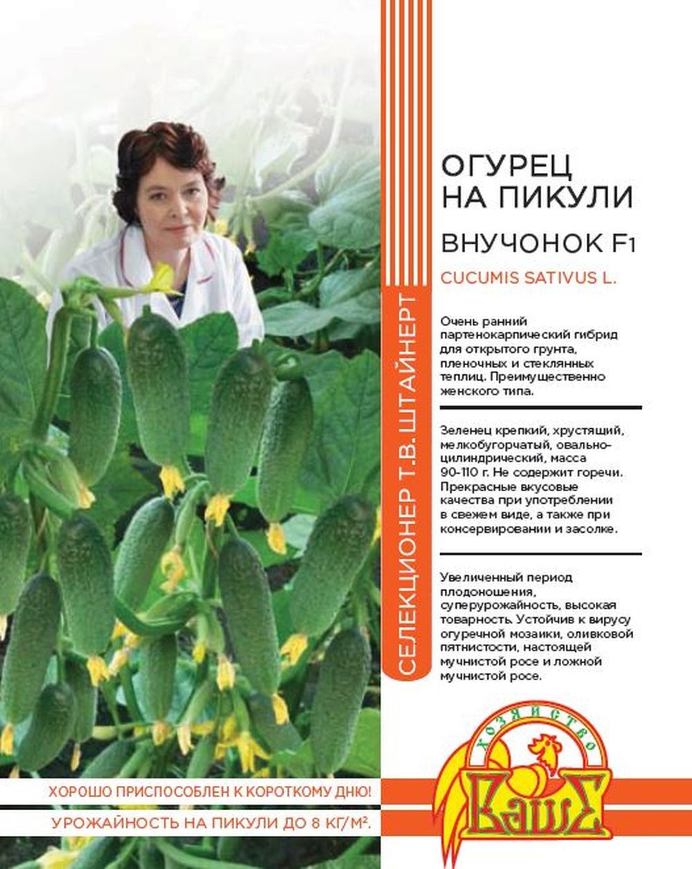 Семена Огурец на пикули Внучок F1, 10 шт - фото