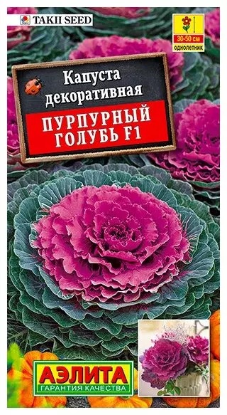 Семена Капуста декоративная Пурпурный голубь, 7 шт - фото