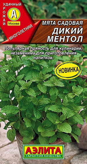 Семена Мята садовая Дикий ментол, 0,05 г - фото