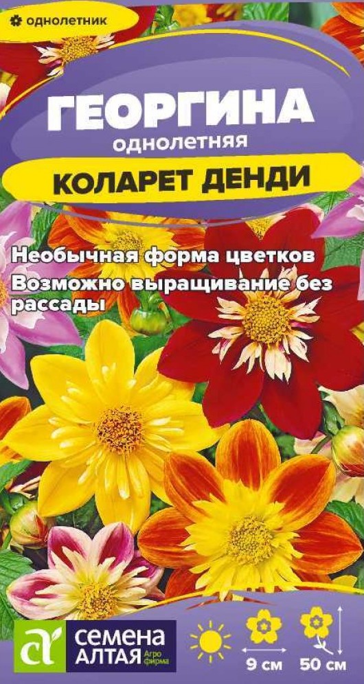 Семена Георгина Коларет Денди, 0,2 г - фото