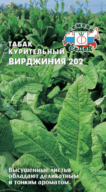 Семена Табак курительный Вирджиния 202, СеДек - фото