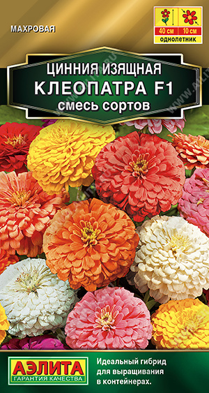 Семена Цинния Клеопатра F1, смесь окрасок, 12 шт - фото