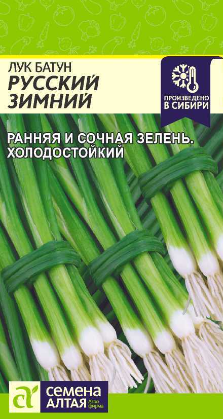 Семена Лук Батун Русский Зимний, 0,5 г - фото