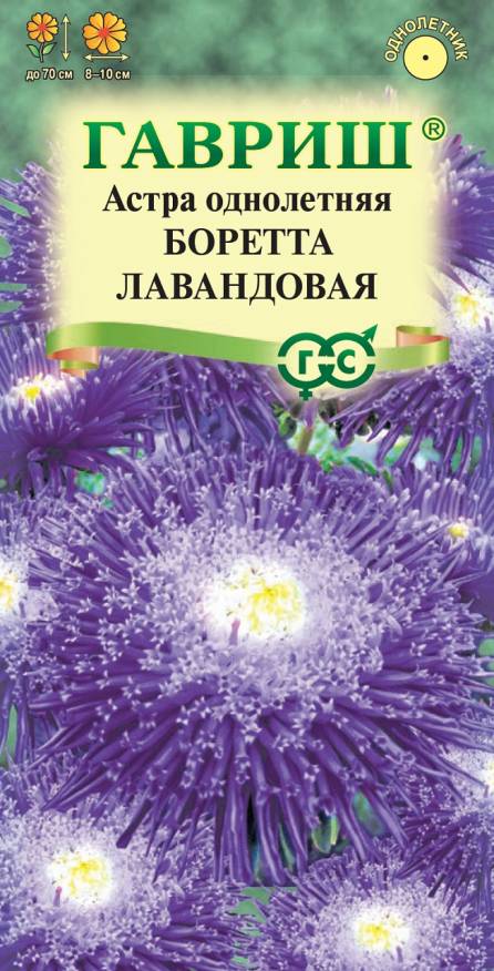 Семена Астра Боретта лавандовая, 0,3 г - фото