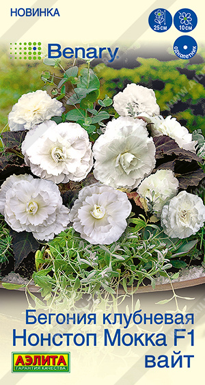 Семена Бегония клубневая Нонстоп мокка F1 вайт, 5 шт - фото