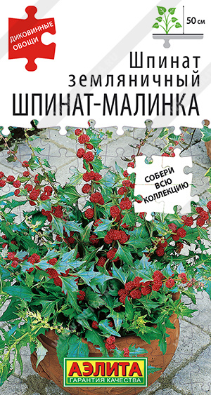 Семена Шпинат земляничный Шпинат-малинка, 0,05 г - фото