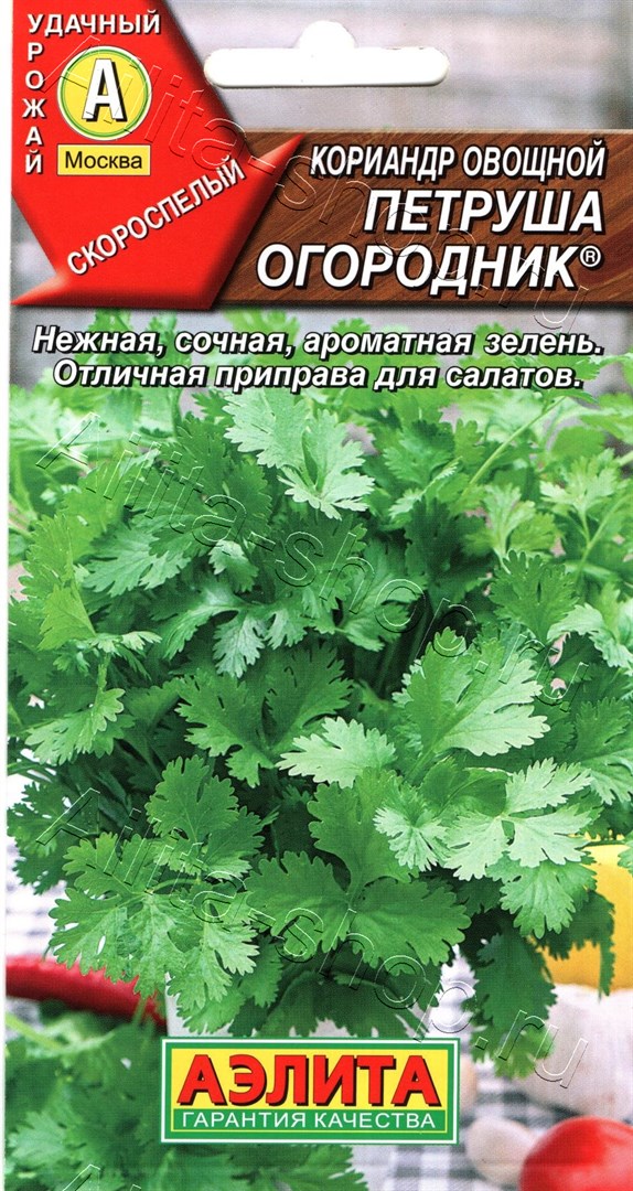 Семена Кориандр овощной Петруша огородник, 3 г - фото