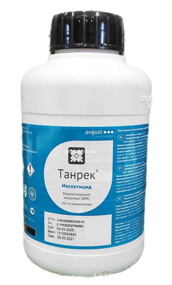 Танрек, 1 л - фото