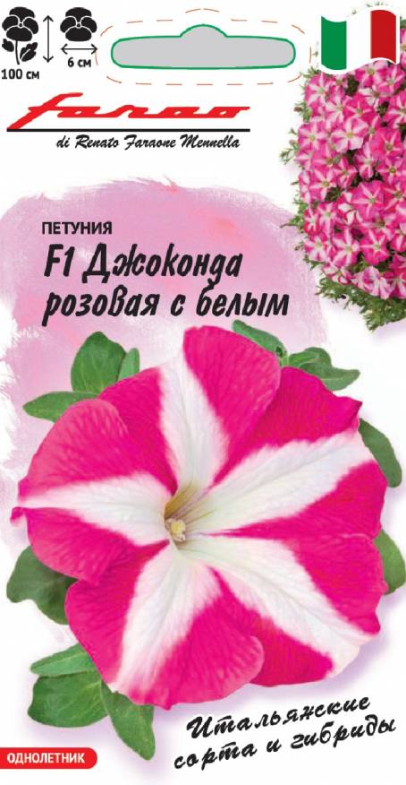 Семена Петуния ампельная (Фортуния) Джоконда розовая с белым - фото
