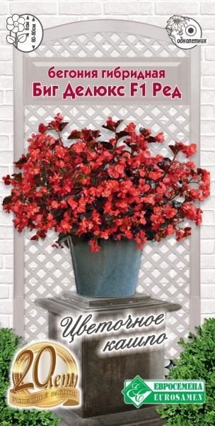 Семена Бегония гибридная Биг Делюкс Ред, 3 шт - фото
