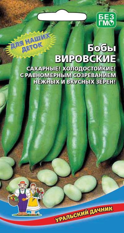 Семена Бобы Вировские, 6 шт - фото