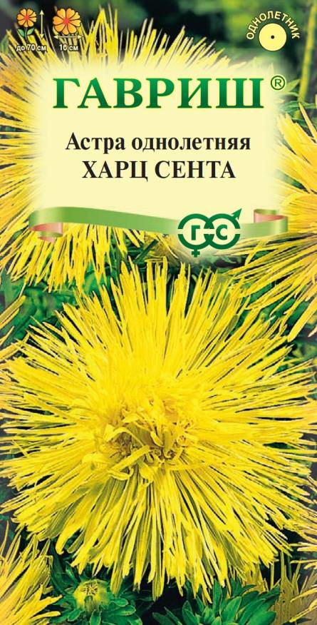 Семена Астра Харц Сента, тонкоигольчатая, 0,3 г - фото