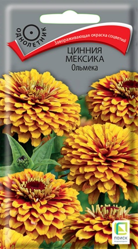 Семена Цинния Мексика Ольмека, 10 шт - фото