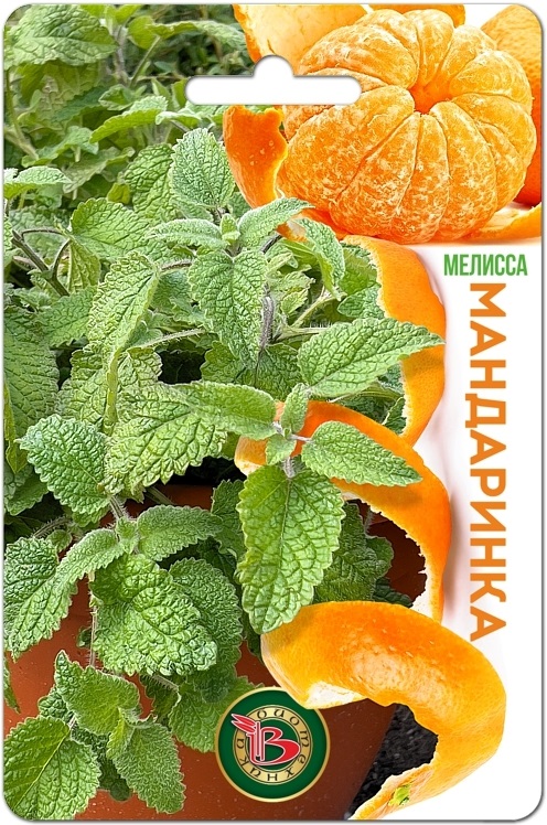 Семена Мелисса Мандаринка, 10 шт - фото