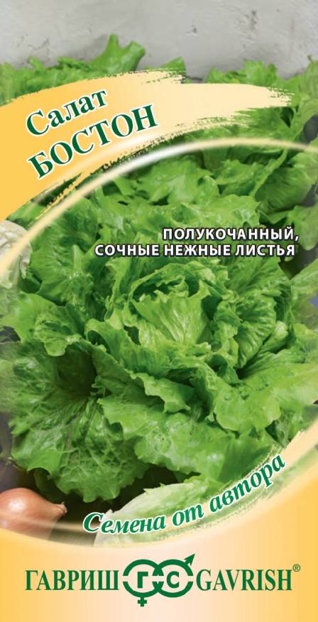 Семена Салат полукочанный Бостон, 0,5 г - фото