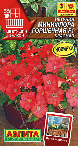Семена Петуния Минифлора горшечная F1 красная, 5 шт - фото