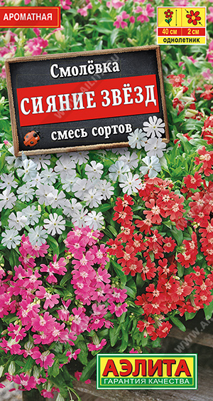 Семена Смолевка Сияние звезд смесь сортов, 0,1 г - фото