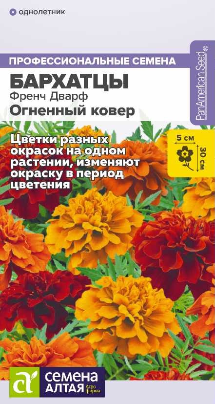 Семена Бархатцы Френч Дварф Огненный ковер, 5 шт - фото