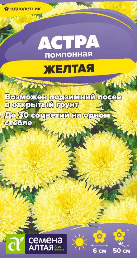Семена Астра Помпонная желтая, 0,2 г - фото