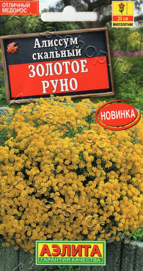 Семена Алиссум скальный Золотое руно, 0,05 г - фото