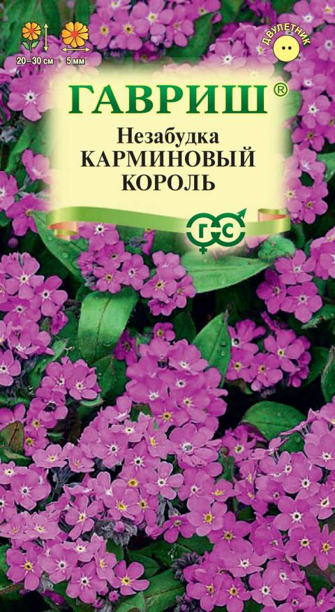 Семена Незабудка Карминовый король, 0,05 г - фото