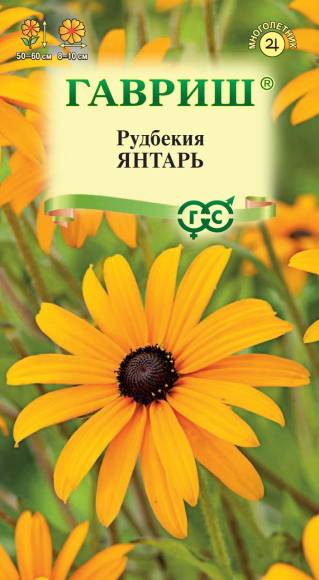 Семена Рудбекия Янтарь, 0,05 г - фото