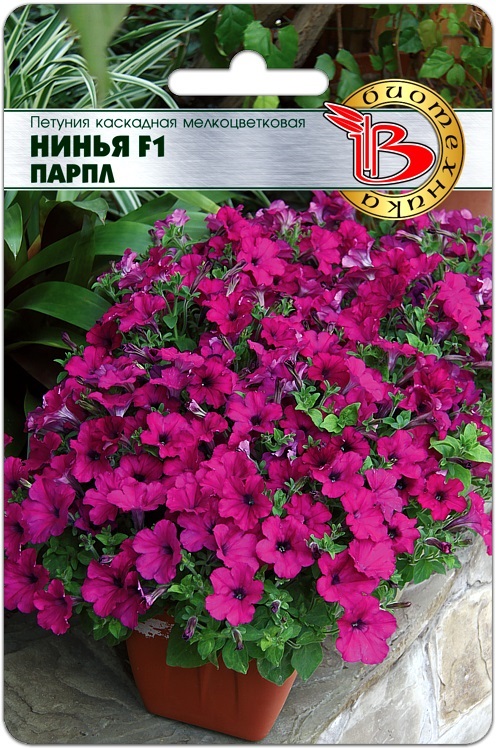 Семена Петуния каскадная мелкоцветковая Нинья F1 Парпл, 5 шт - фото
