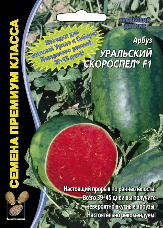 Семена Арбуз Уральский скороспел, 3 шт - фото
