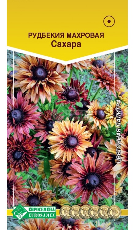 Семена Рудбекия волосистая Сахара, 0,02 г - фото
